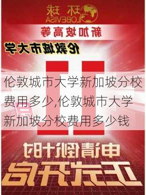 伦敦城市大学新加坡分校费用多少,伦敦城市大学新加坡分校费用多少钱