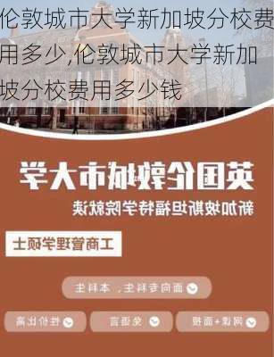 伦敦城市大学新加坡分校费用多少,伦敦城市大学新加坡分校费用多少钱