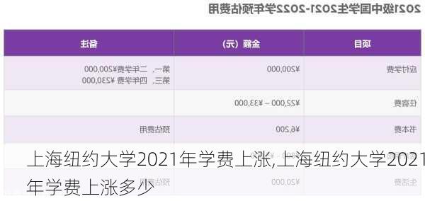 上海纽约大学2021年学费上涨,上海纽约大学2021年学费上涨多少