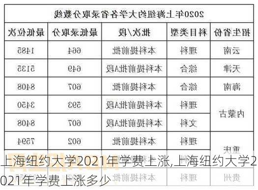 上海纽约大学2021年学费上涨,上海纽约大学2021年学费上涨多少