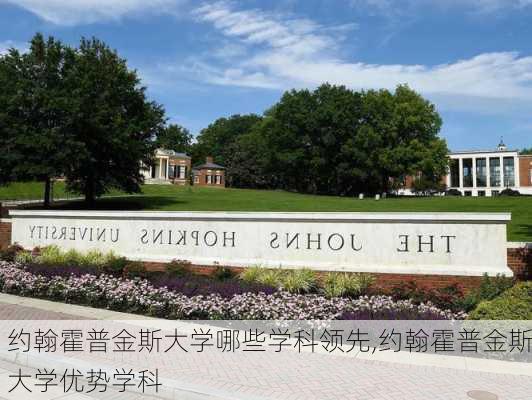 约翰霍普金斯大学哪些学科领先,约翰霍普金斯大学优势学科