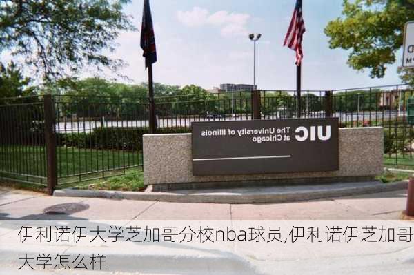 伊利诺伊大学芝加哥分校nba球员,伊利诺伊芝加哥大学怎么样