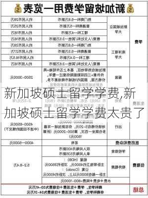 新加坡硕士留学学费,新加坡硕士留学学费太贵了