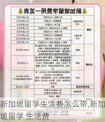 新加坡留学生活费怎么带,新加坡留学 生活费