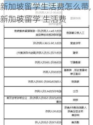 新加坡留学生活费怎么带,新加坡留学 生活费