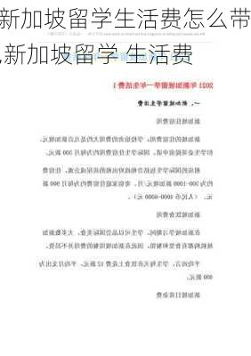 新加坡留学生活费怎么带,新加坡留学 生活费