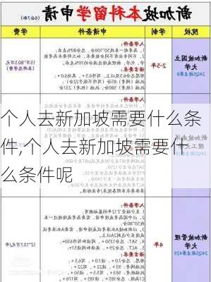 个人去新加坡需要什么条件,个人去新加坡需要什么条件呢