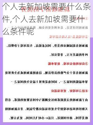 个人去新加坡需要什么条件,个人去新加坡需要什么条件呢