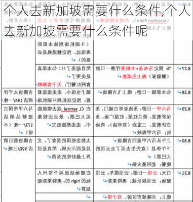 个人去新加坡需要什么条件,个人去新加坡需要什么条件呢