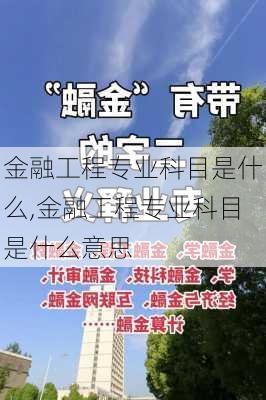 金融工程专业科目是什么,金融工程专业科目是什么意思