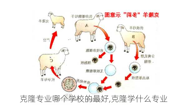 克隆专业哪个学校的最好,克隆学什么专业