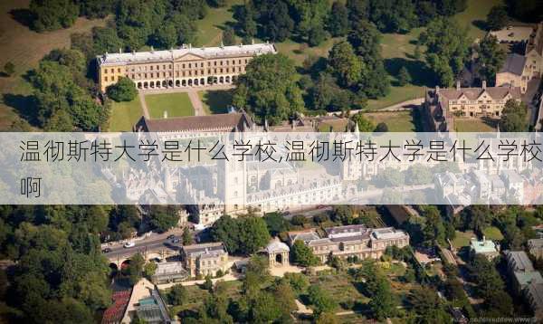 温彻斯特大学是什么学校,温彻斯特大学是什么学校啊