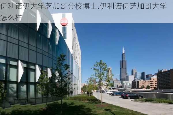 伊利诺伊大学芝加哥分校博士,伊利诺伊芝加哥大学怎么样