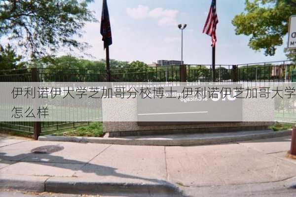 伊利诺伊大学芝加哥分校博士,伊利诺伊芝加哥大学怎么样