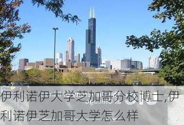 伊利诺伊大学芝加哥分校博士,伊利诺伊芝加哥大学怎么样