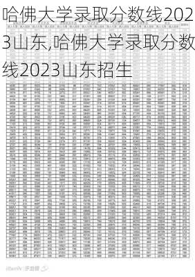 哈佛大学录取分数线2023山东,哈佛大学录取分数线2023山东招生