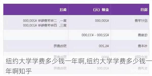 纽约大学学费多少钱一年啊,纽约大学学费多少钱一年啊知乎