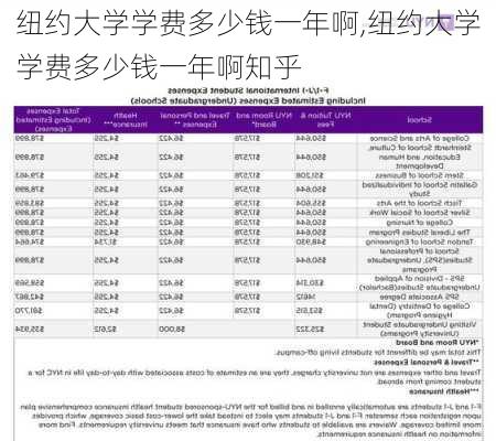 纽约大学学费多少钱一年啊,纽约大学学费多少钱一年啊知乎