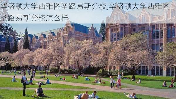 华盛顿大学西雅图圣路易斯分校,华盛顿大学西雅图圣路易斯分校怎么样