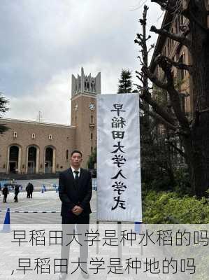 早稻田大学是种水稻的吗,早稻田大学是种地的吗