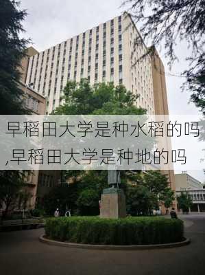 早稻田大学是种水稻的吗,早稻田大学是种地的吗