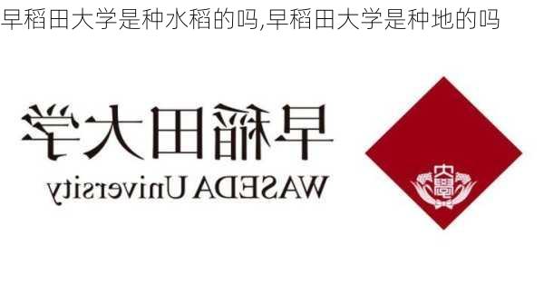 早稻田大学是种水稻的吗,早稻田大学是种地的吗