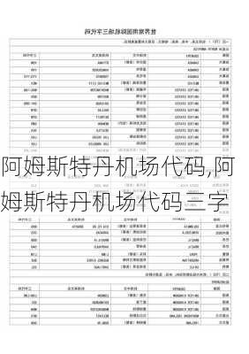 阿姆斯特丹机场代码,阿姆斯特丹机场代码三字