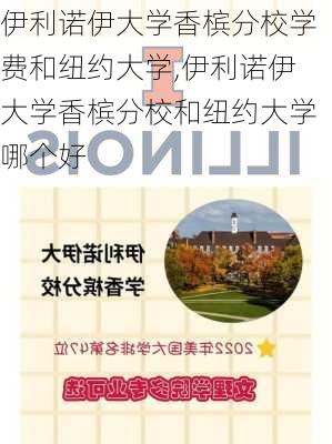 伊利诺伊大学香槟分校学费和纽约大学,伊利诺伊大学香槟分校和纽约大学哪个好