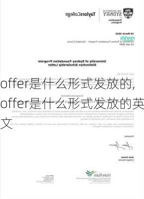 offer是什么形式发放的,offer是什么形式发放的英文