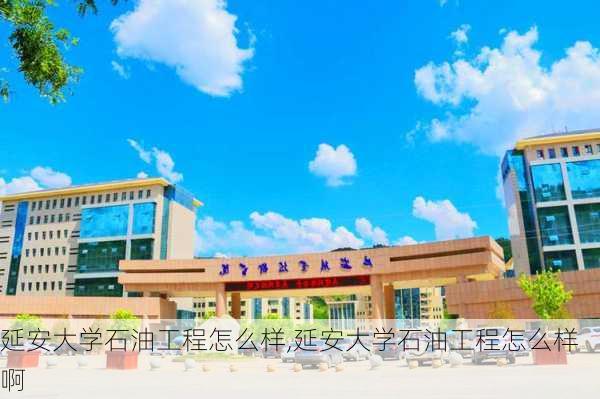 延安大学石油工程怎么样,延安大学石油工程怎么样啊