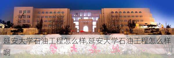 延安大学石油工程怎么样,延安大学石油工程怎么样啊