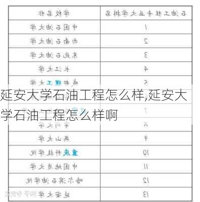 延安大学石油工程怎么样,延安大学石油工程怎么样啊