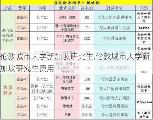 伦敦城市大学新加坡研究生,伦敦城市大学新加坡研究生费用