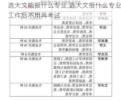 选大文能报什么专业,选大文报什么专业工作后不用再考试