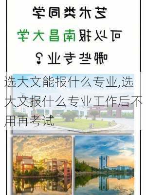 选大文能报什么专业,选大文报什么专业工作后不用再考试