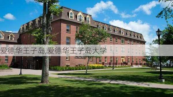 爱德华王子岛,爱德华王子岛大学