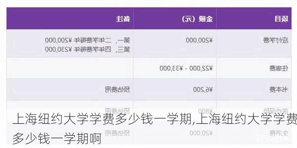 上海纽约大学学费多少钱一学期,上海纽约大学学费多少钱一学期啊