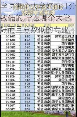 学医哪个大学好而且分数低的,学医哪个大学好而且分数低的专业