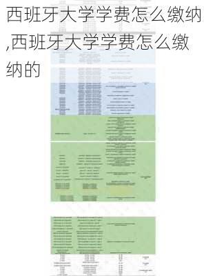 西班牙大学学费怎么缴纳,西班牙大学学费怎么缴纳的