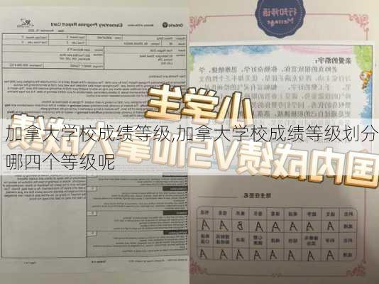 加拿大学校成绩等级,加拿大学校成绩等级划分哪四个等级呢