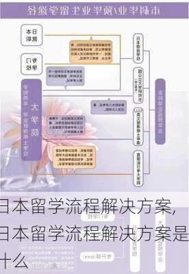 日本留学流程解决方案,日本留学流程解决方案是什么