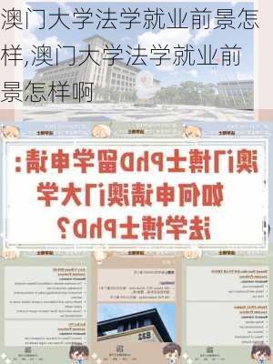 澳门大学法学就业前景怎样,澳门大学法学就业前景怎样啊