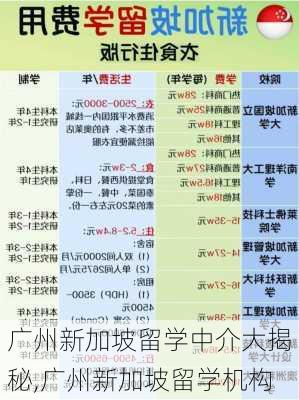 广州新加坡留学中介大揭秘,广州新加坡留学机构