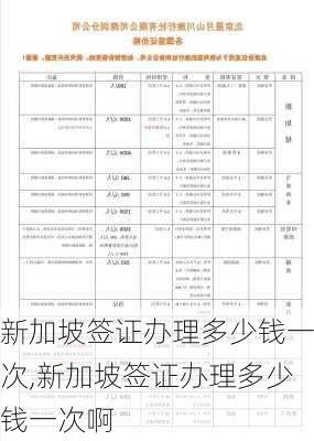 新加坡签证办理多少钱一次,新加坡签证办理多少钱一次啊