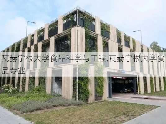 瓦赫宁根大学食品科学与工程,瓦赫宁根大学食品专业