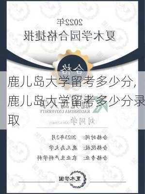 鹿儿岛大学留考多少分,鹿儿岛大学留考多少分录取