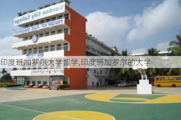 印度班加罗尔大学留学,印度班加罗尔的大学