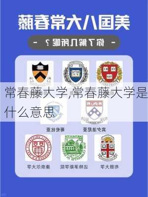 常春藤大学,常春藤大学是什么意思