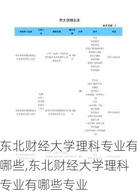 东北财经大学理科专业有哪些,东北财经大学理科专业有哪些专业