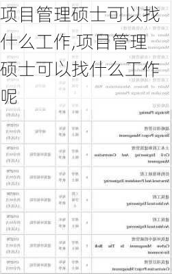 项目管理硕士可以找什么工作,项目管理硕士可以找什么工作呢